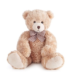Lots of love bear